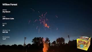 MS136 Willow Forest - 25 shot 200 Gram Cake - Sky Bacon Fireworks